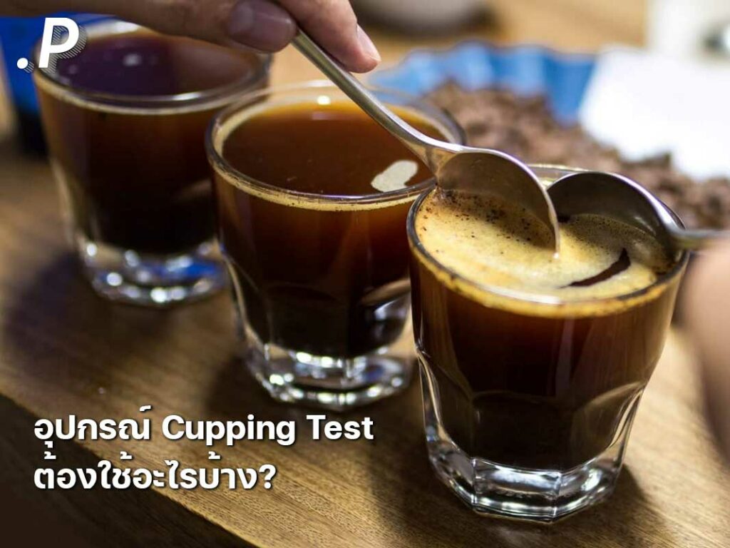 อุปกรณ์ Cupping Test ต้องใช้อะไรบ้าง